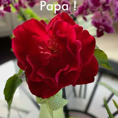 Bon Anniversaire Papa !