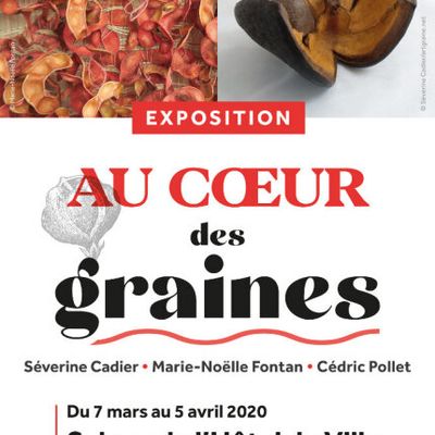 Au cœur des graines