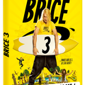 Concours Brice de Nice 3 : 5 DVD à gagner d'un film 100% casse 