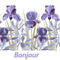 Ils sont là...