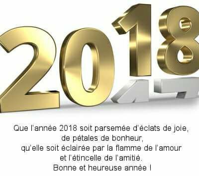 Meilleurs vœux 2018