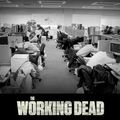 the working dead