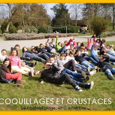 Coquillages et crustacés