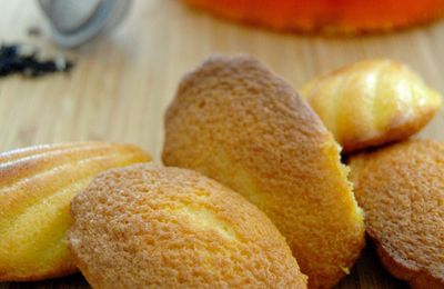 Madeleines de rêve de Philippe Conticini