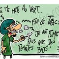 SE METTRE AU VERT.