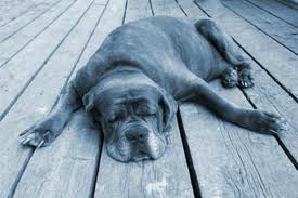 Chronique d'une journée ordinaire