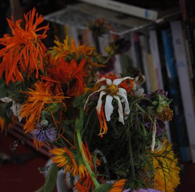 rien que quelques rimes en prose