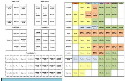 Plan du potager 2015 : 3ème saison