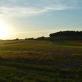 [Drôme] quand le soleil se couche sur la campagne....