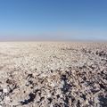 San pedro de atacama - Piejas rojas et lagunas altiplanicas fin