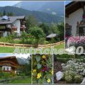Carte postale d'Autriche, les fleurs en montagne