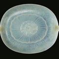 A Mughal-style white jade shallow foliate dish, Qianlong (1736-1795)