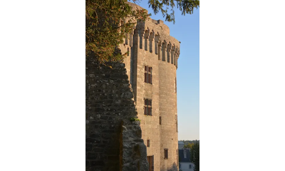 Les fenêtres à Meneaux