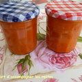 COULIS DE COULIS DE TOMATES au Monsieur Cuisine