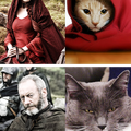 game of the cat lol