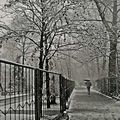 N°604 - Promenade sous la neige