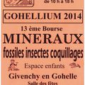 GOHELLIUM 2014 , Bourse MINERAUX-FOSSILES