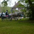 Concours National d'attelage à Berck Sur Mer