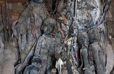 RÉCUPÉRER SON EX AVEC UNE PHOTO : EST-CE UNE BONNE IDÉE? MARABOUT LOKO VOGNON BOSSA