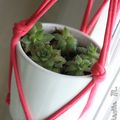 Trapilho : Suspension pour mini plantes (Du rose néon pour ma déco)