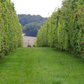 Rando du 27 Septembre à La Selle-en-Hermoy