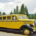 The Yellowstone N.P. White Buses 