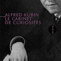 LIVRE : Le Cabinet de Curiosités (Der Guckkasten) d'Alfred Kubin - 1925