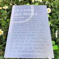 Le livre qui muscle Léo Lebrun Éditions du Panseur