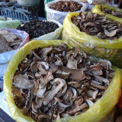 Arrivée à Belgrade