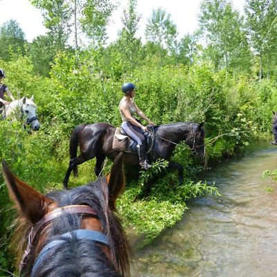 Plus de tourisme équestre en Picardie Verte ?