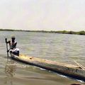 Pêche dans les bolons de Casamance