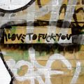 picture statements: i love to fuck you