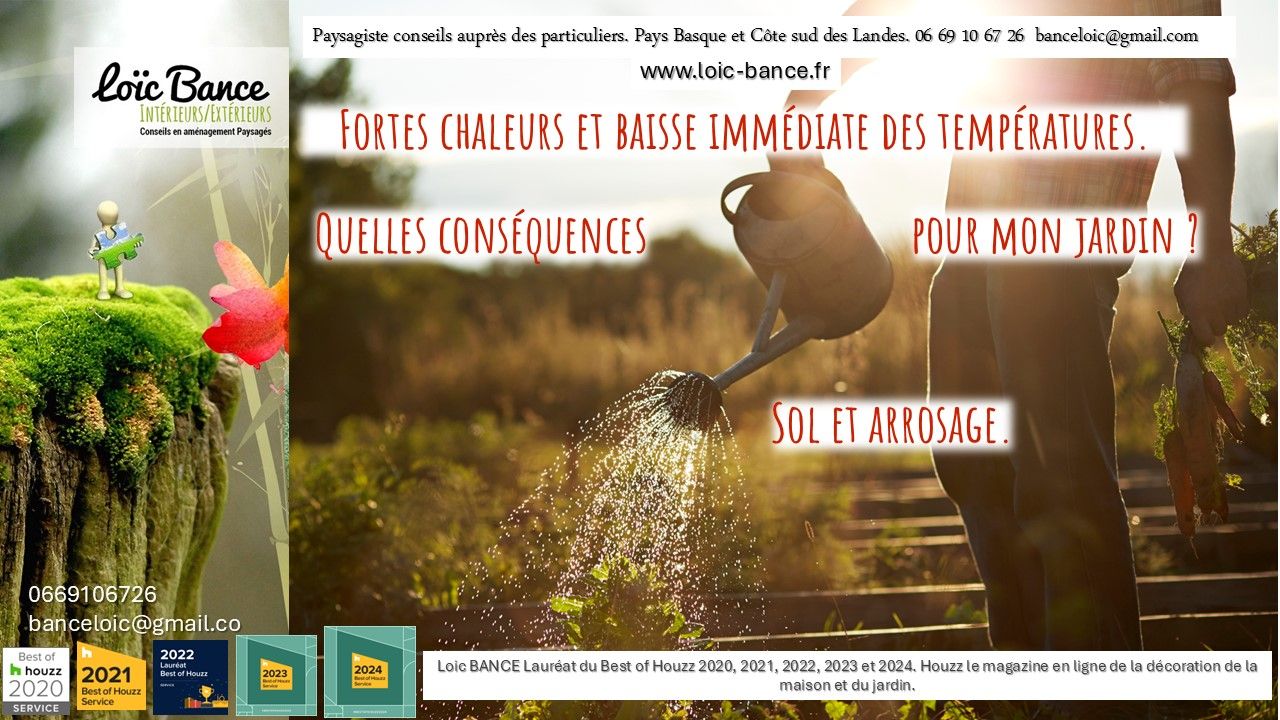 Paysagiste Pays Basque Paysagiste Landes Canicule Sol et arrosage par fortes chaleurs