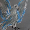 Colombe (pastel) - [de Del]