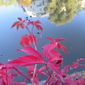 Le rouge et le noir au quai d'Auchel à Rennes le 5 octobre 2014 (1)