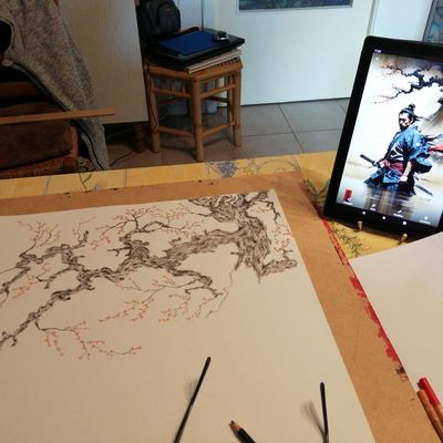 Dessin style japonais : projet en préparation "Sakura"