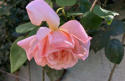 Un été avec Simenon - C'est la fin de l'été...