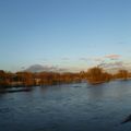 Loire, arbre ocres et ciel bleu en février