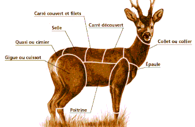 Gigue de Chevreuil 