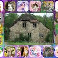 Participation de Fairywen