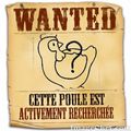 Avis de recherche!