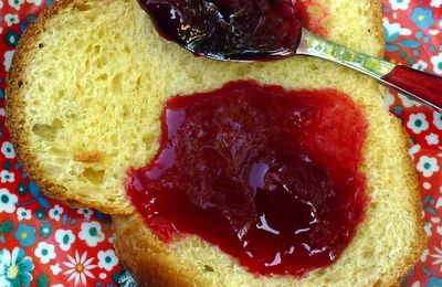 Confiture de prunes rouges sans peaux