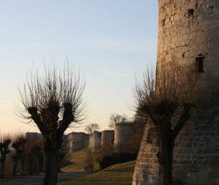 Coucy-le-Château