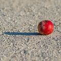 Une pensée pour Newton ...