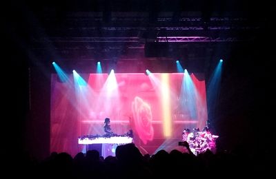 Balade automnale et concert d'Irène Drésel (64)