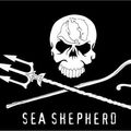 Lush se joint à Sea Shepherd