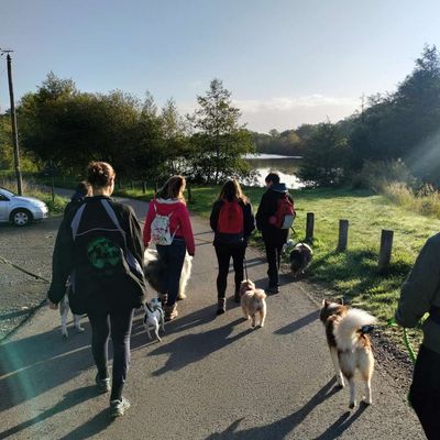 Rando autour de Guipel et la Plousière