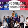 FRANCE 2021 : EURO SONDAGE - And The Winner is ...