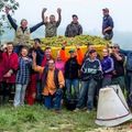 La Cave mâconnaise de Lugny s'engage dans le bio