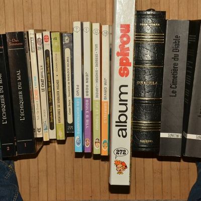 De retour de la Foire du Livre - Mes achats